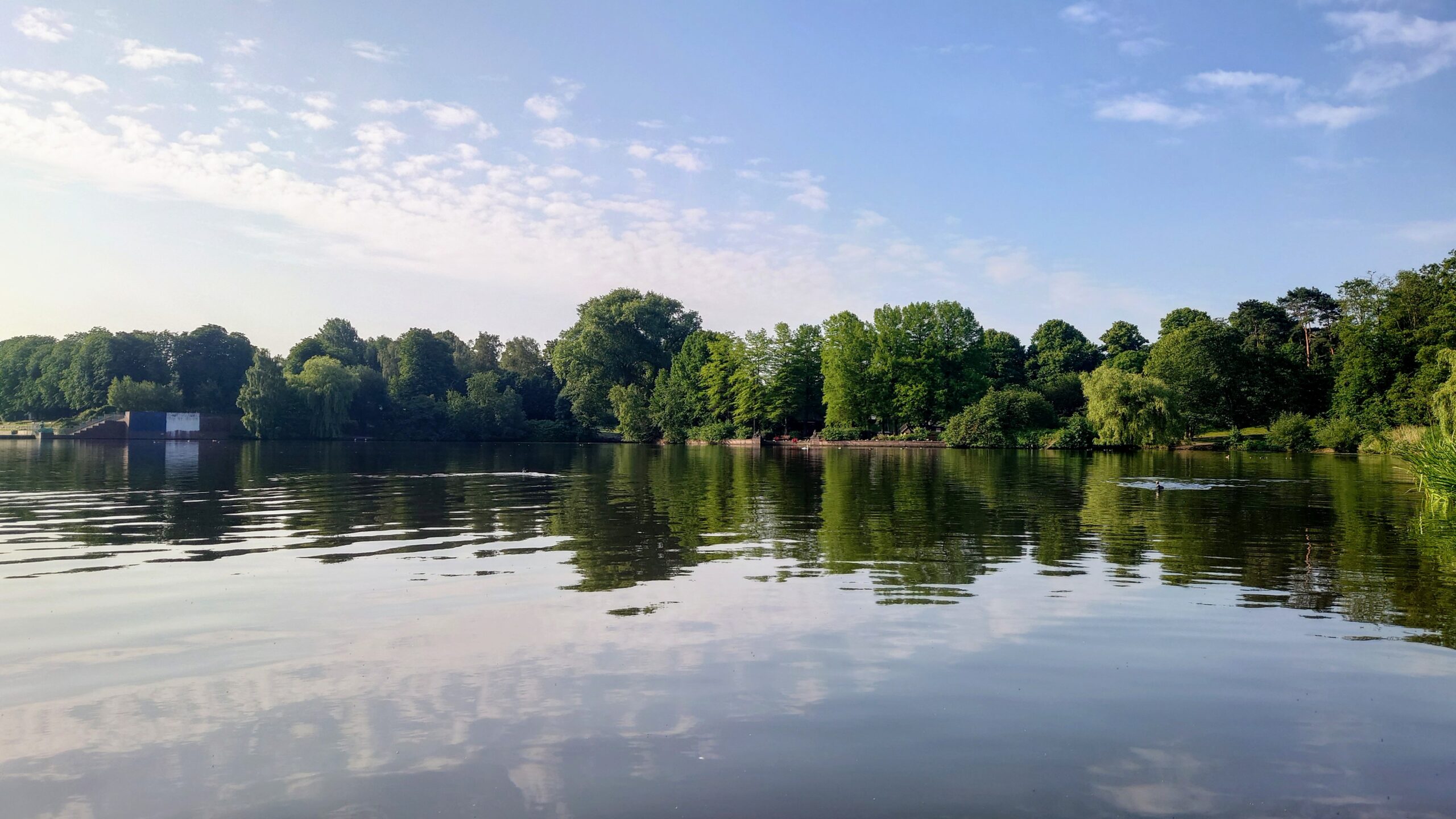 Ruhiger Hamburger See mit bewaldetem Ufer und Spiegelungen im Wasser